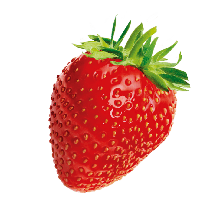 fresa